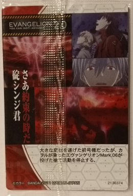 Wafer Card Evangelion 2136374 #S-10