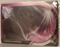 Wafer Card Evangelion 2509677 #C-05 Nagisa Kaworu