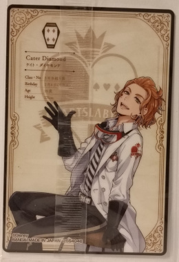 Wafer Card Twisted Wonderland 2554046 #No.05 Cater Diamond